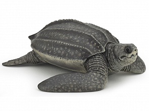 Фигурка - Черепаха кожистая (Papo, 56022_papo)